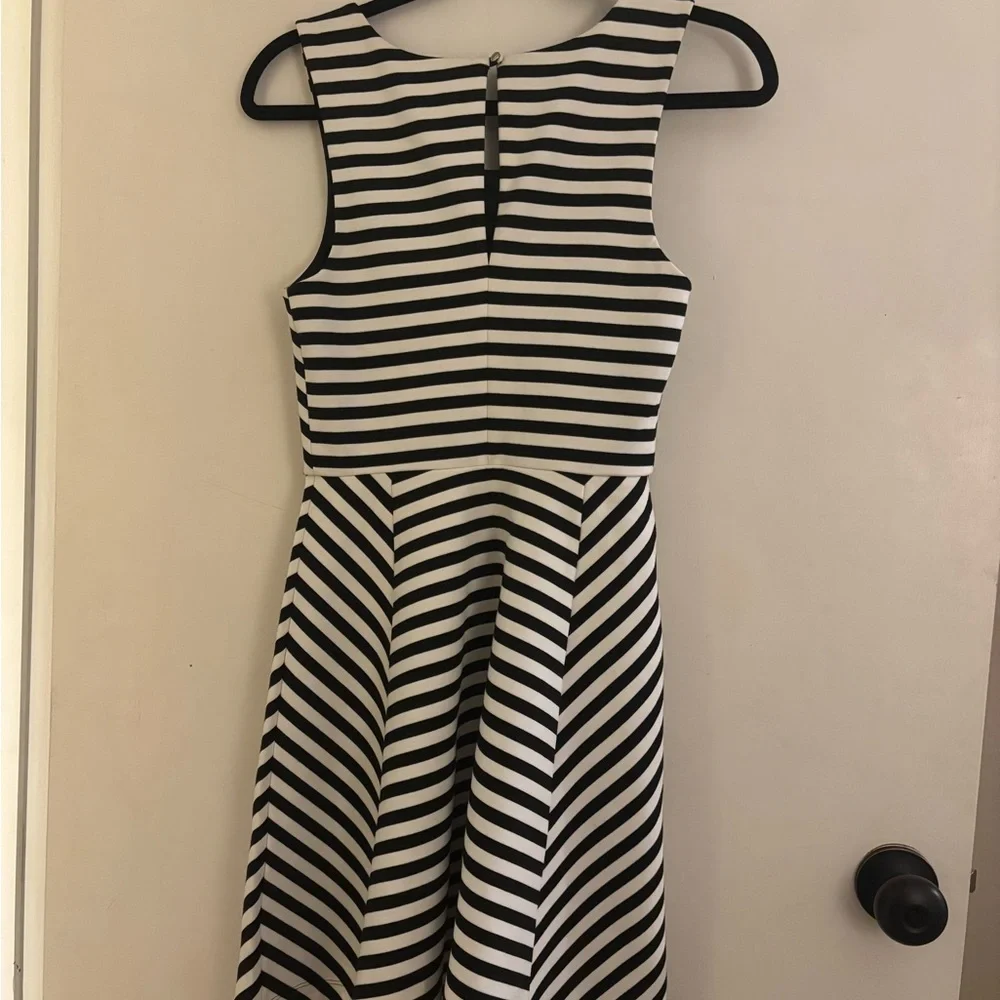 Express Striped Dress - Picture 3 of 3